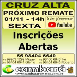 Gado Geral - Cruz Alta