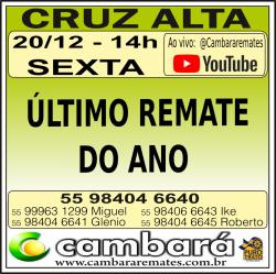 Gado Geral - Cruz Alta